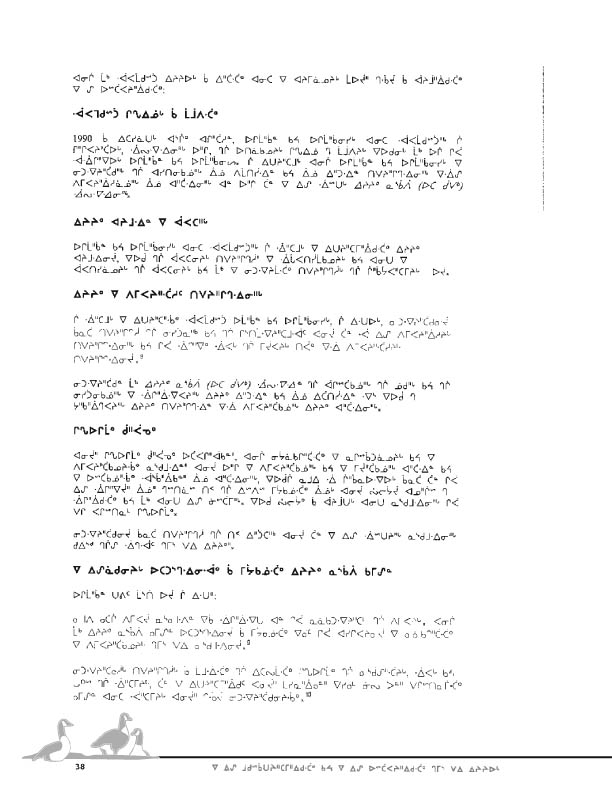 11923 CNC Report 2004_CREE - page 38